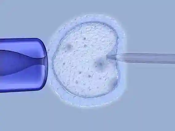 5c8b2618176088d78e13a018de45973d.png